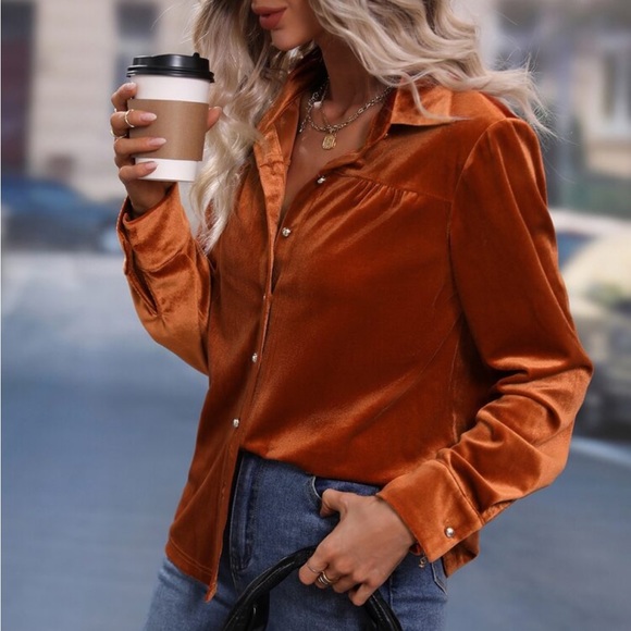 Luxe Velvet Button Down Shirt Top Blouse Rust - Picture 5 of 17